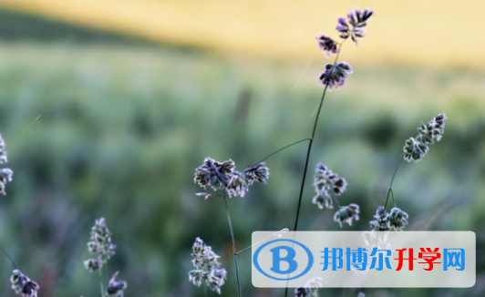綿陽(yáng)2022年中考體考標(biāo)準(zhǔn)