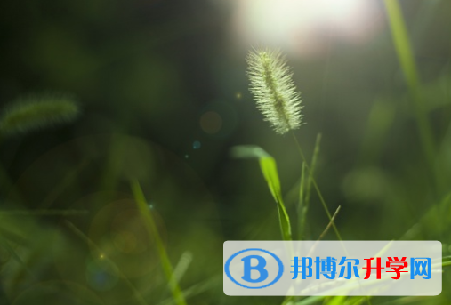 綿陽2022年中考應對策略