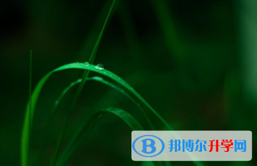 綿陽2022年中考狀元