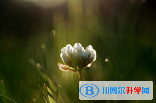 綿陽2022年中考準(zhǔn)考證