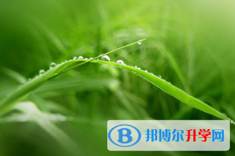 綿陽2022年中考準考證丟了怎么辦