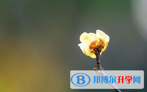 綿陽2022年中考需要準備什么