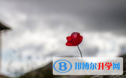 綿陽2022年中考是否有高價生