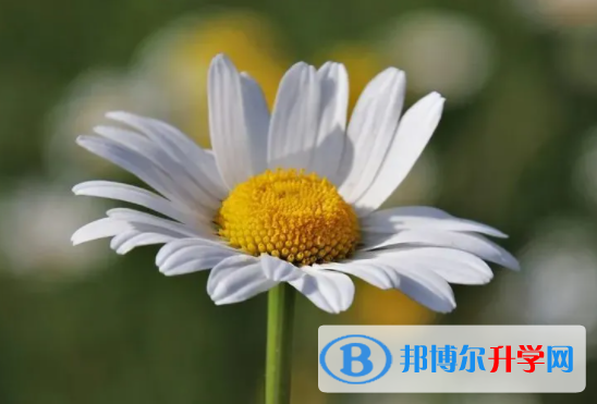 綿陽(yáng)2022年中考是什么
