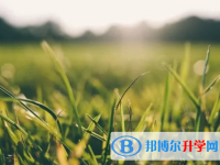 綿陽2022年中考是什么時候
