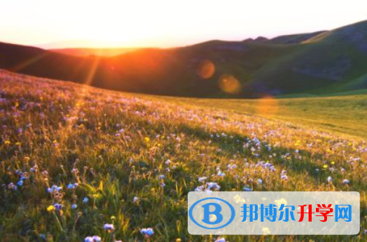 綿陽(yáng)2022年中考失利怎么辦