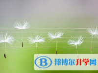 綿陽2022年中考沒有被學校錄取咋辦