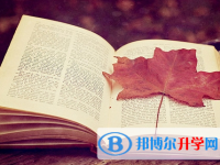 綿陽2022年中考后可以上什么學校