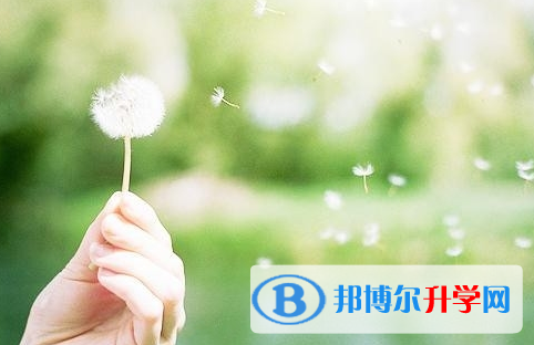 綿陽2022年中考200多的哪些學校要