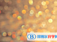 綿陽2022年中考372可以讀的學校