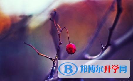 綿陽2022年怎樣中考正常發揮