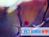 綿陽2022年怎樣中考正常發揮