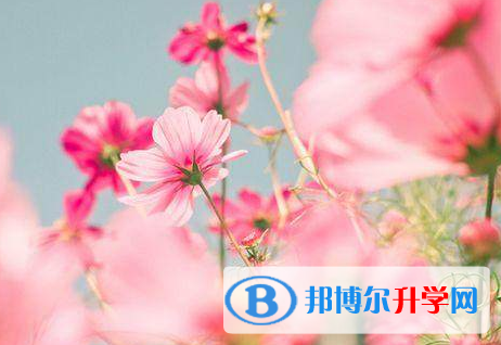 綿陽2022年中考網絡應用服務平臺登錄