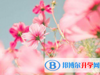 綿陽2022年中考網(wǎng)絡(luò)應(yīng)用服務(wù)平臺登錄