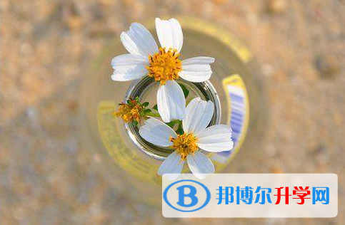 綿陽2022年中考網上志愿如何打印