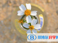 綿陽2022年中考網(wǎng)上志愿如何打印