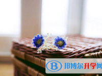 綿陽2022年優(yōu)志愿中考版