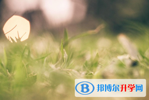 綿陽2022年如何改中考志愿
