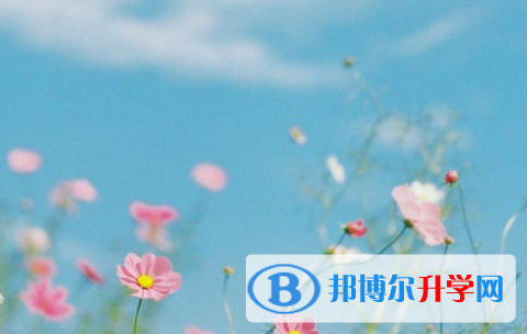 綿陽2022年中考調劑志愿是什么意思