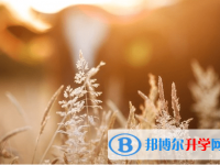 廣元2022年中考成績一般讀什么學校