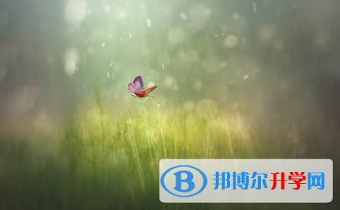 廣元2022年中考看成績是在哪個網站