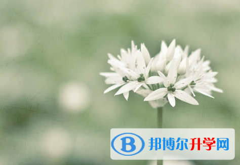 廣元2022年中考網(wǎng)絡應用服務平臺成績查詢