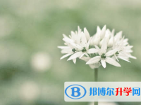 廣元2022年中考網(wǎng)絡(luò)應(yīng)用服務(wù)平臺成績查詢
