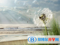 廣元2022年中考報(bào)名系統(tǒng)