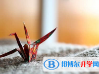 廣元2022年中考服務(wù)平臺(tái)