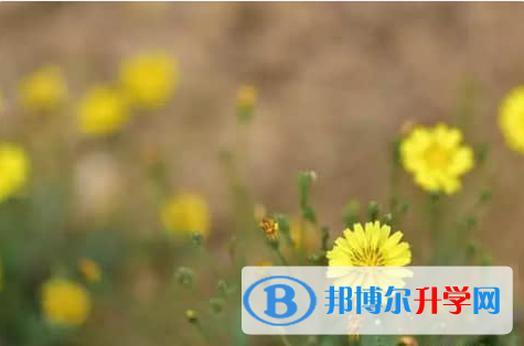 廣元2022年中考規則