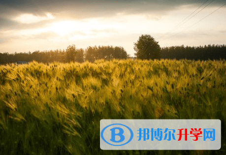 廣元2022年中考考點有哪幾個