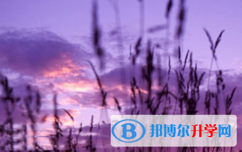 廣元2022年中考網錄取系統