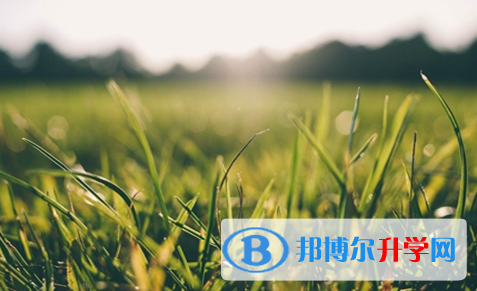 廣元2022年中考網(wǎng)絡(luò)應(yīng)用平臺