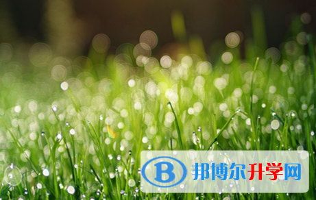 廣元2022年中考網(wǎng)上報考信息平臺