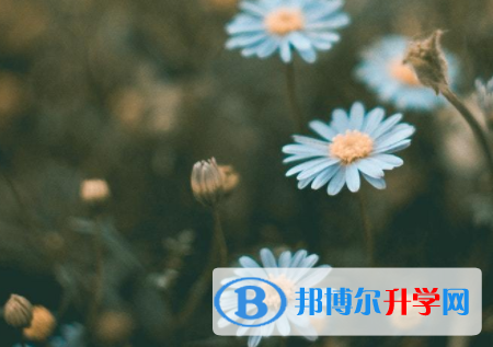 廣元2022年中考網上報名