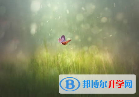 廣元2022年中考網上報名模擬