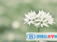 廣元2022年中考網(wǎng)上模擬報(bào)名