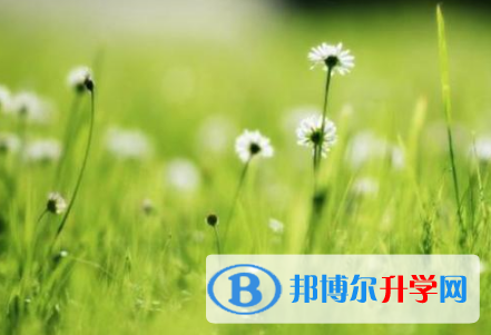 廣元2022年中考信息服務平臺