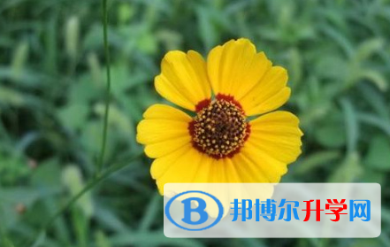 廣元2022年中考藝體時(shí)間