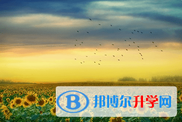 廣元2022年中考預(yù)估重點(diǎn)線