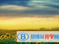 廣元2022年中考預估重點線