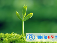 廣元2022年中考招生考試查詢系統