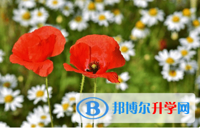 廣元2022年中考報名系統(tǒng)網(wǎng)址