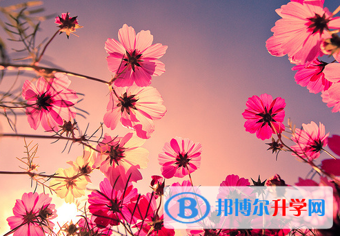 廣元2022年中考填報志愿后還可以改嗎