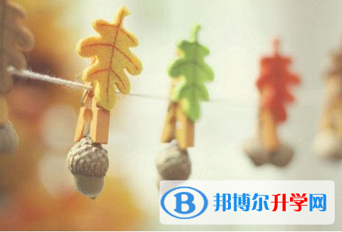 廣元2022年中考志愿填報網址