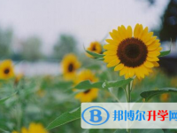 遂寧2022年查詢中考成績上哪個網站