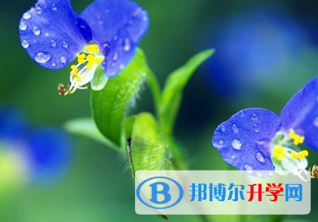 遂寧2022年外地生中考怎沒(méi)成績(jī)