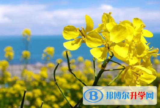遂寧2022年中考成績(jī)有沒(méi)D