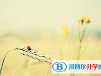 遂寧2022年中考考號(hào)查詢
