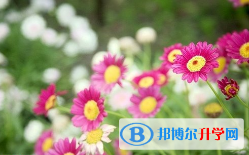 遂寧2022年中考在哪查詢(xún)成績(jī)